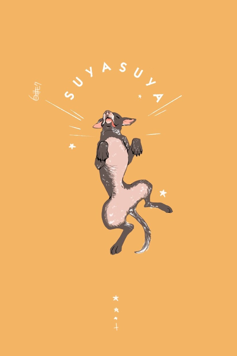 愛犬、愛猫のオリジナルイラスト描きます イラスト調のポップな絵だからグッズを作るのに向いています！ イメージ6