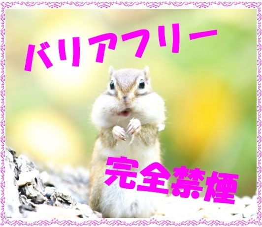 札幌＆札幌近郊の旅行の相談にのります 出掛けたいけれど、病気やケガなどで制限があって不安なあなたへ イメージ2