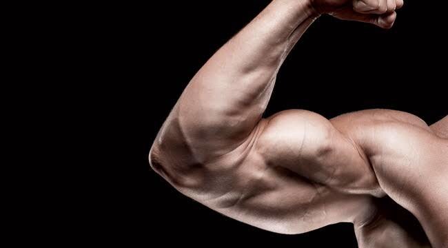 トレーニングやダイエットの相談に乗ります できる限りわかりやすく説明します。 イメージ1