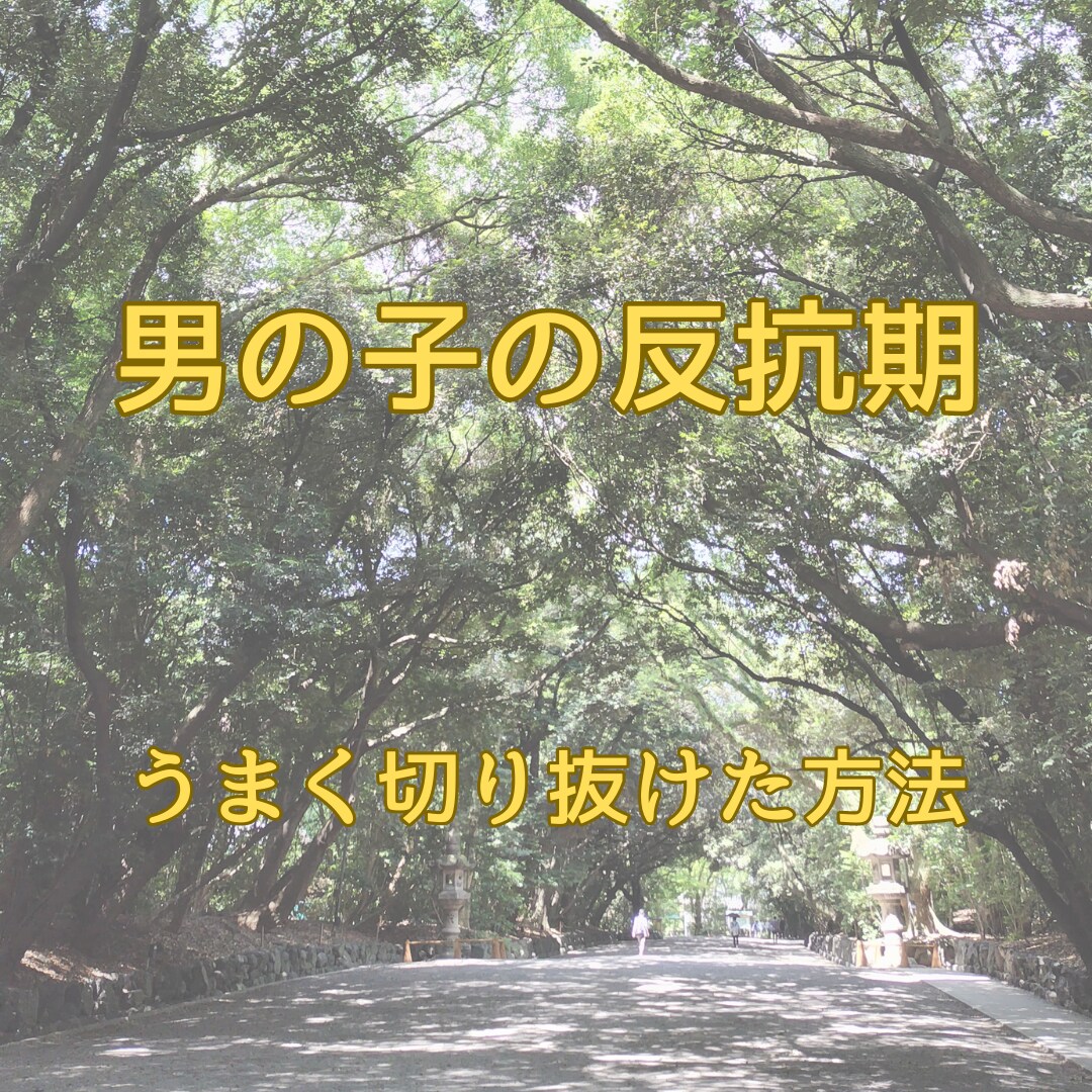 男の子の反抗期に悩むあなたのお話聞きます 私が上手く切り抜けた方法、お話できます イメージ1