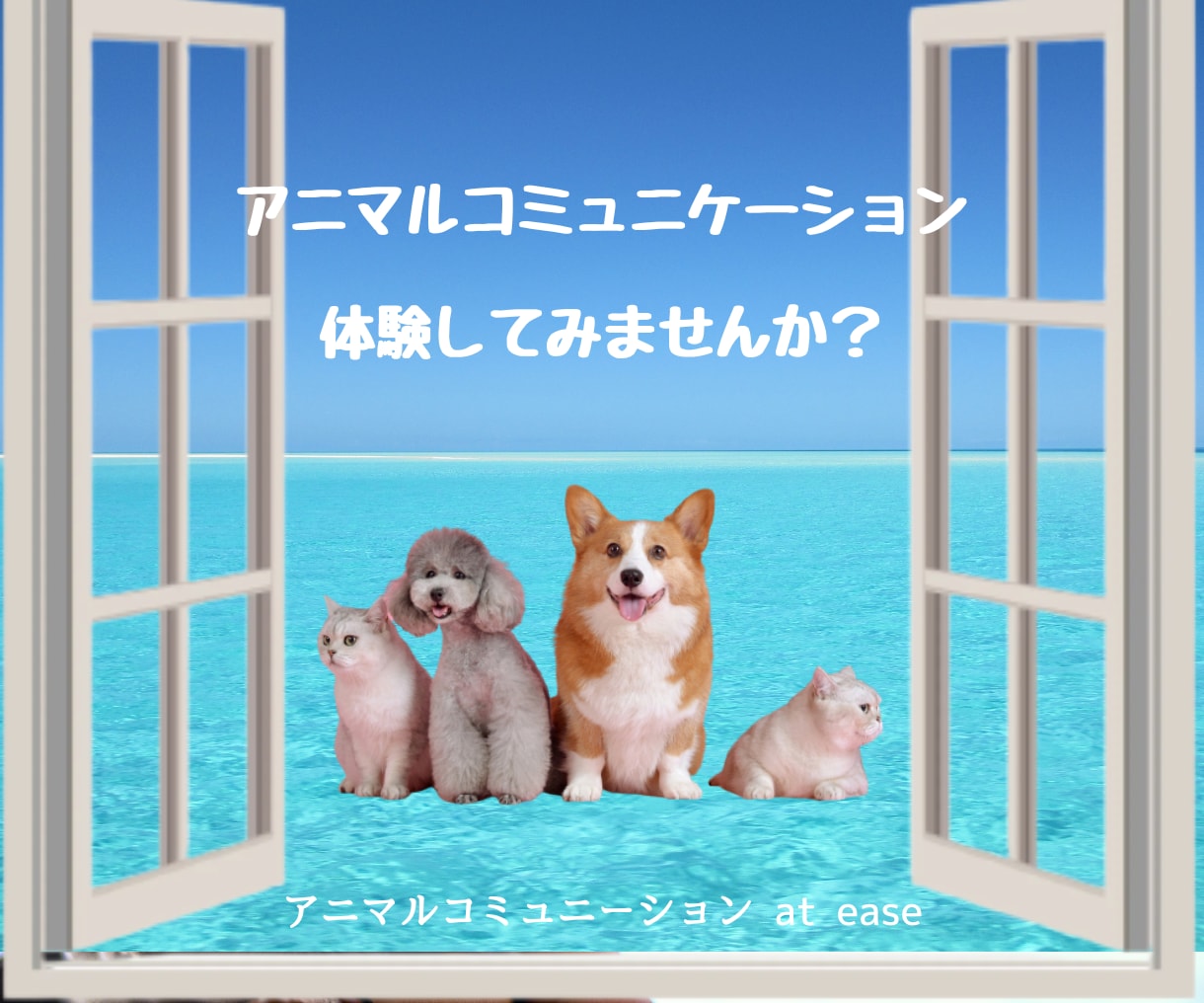 動物さんとお話します、あなたの想いを伝えます アニマルコミュニケーションを体験してみませんか？ イメージ2