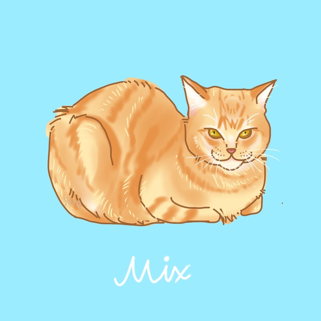 写真を元にペットイラスト作成します みなさまのお家のかわいいペットの記念になるお手伝いいたします イメージ5