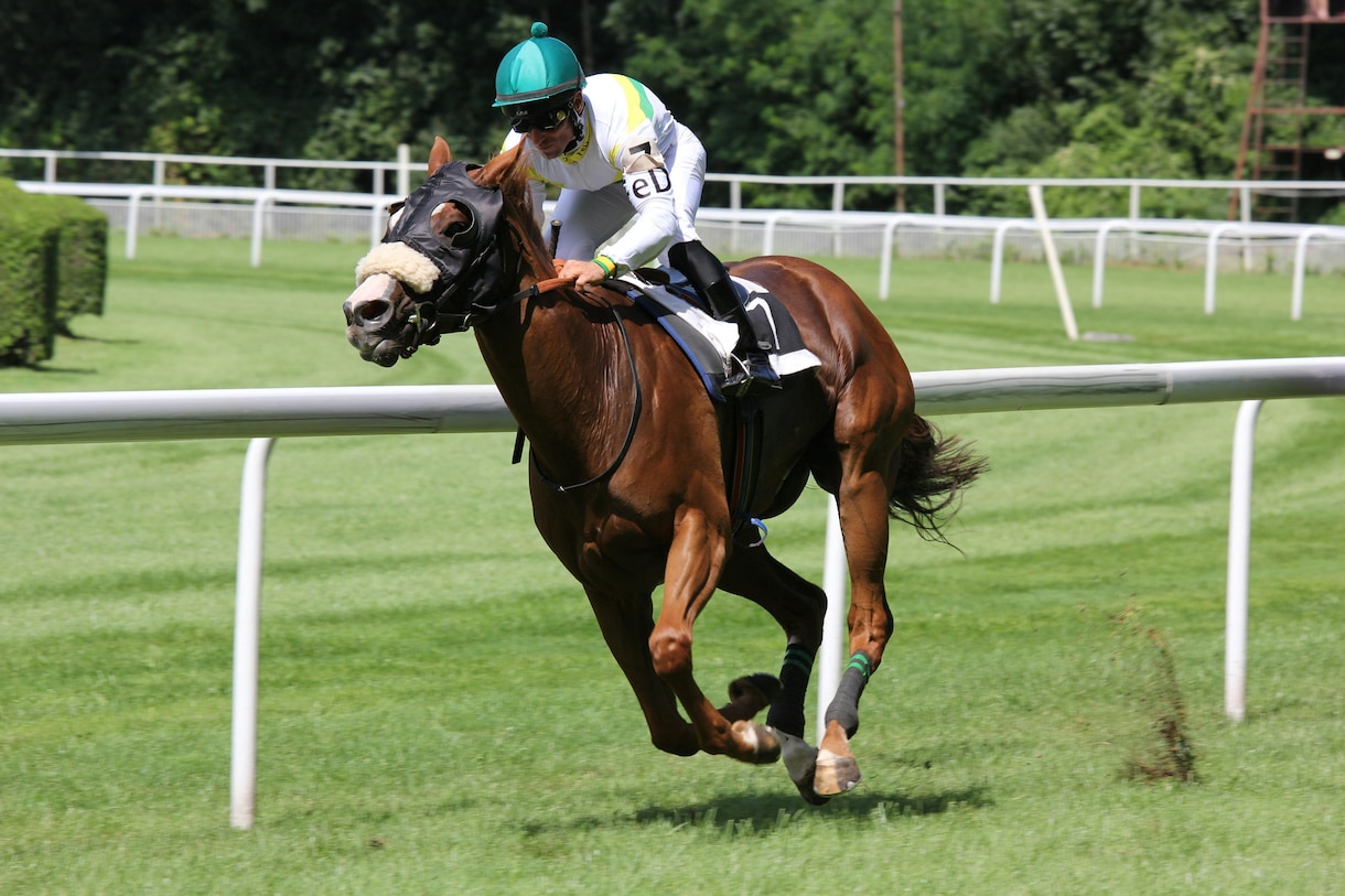 JRA・地方競馬 自動投票ツールを開発します 馬券購入/競走馬情報取得など何でもどうぞ！ イメージ1