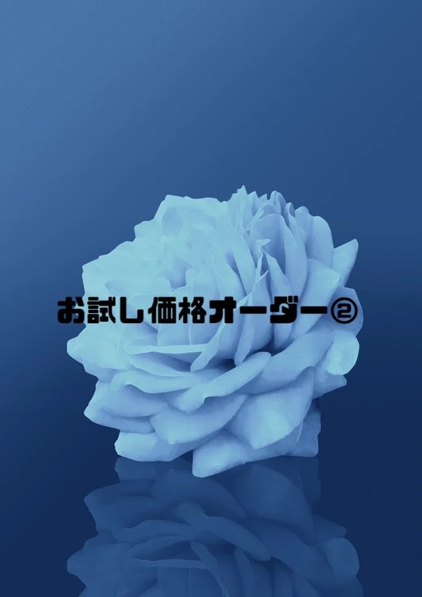 お試し価格のオーダー小説を受付けさせてもらいます 一度きりのお試し価格となっております