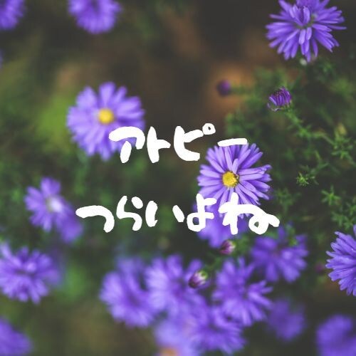 アトピーの大変さよくわかります アトピーと共存していきましよう。 イメージ1
