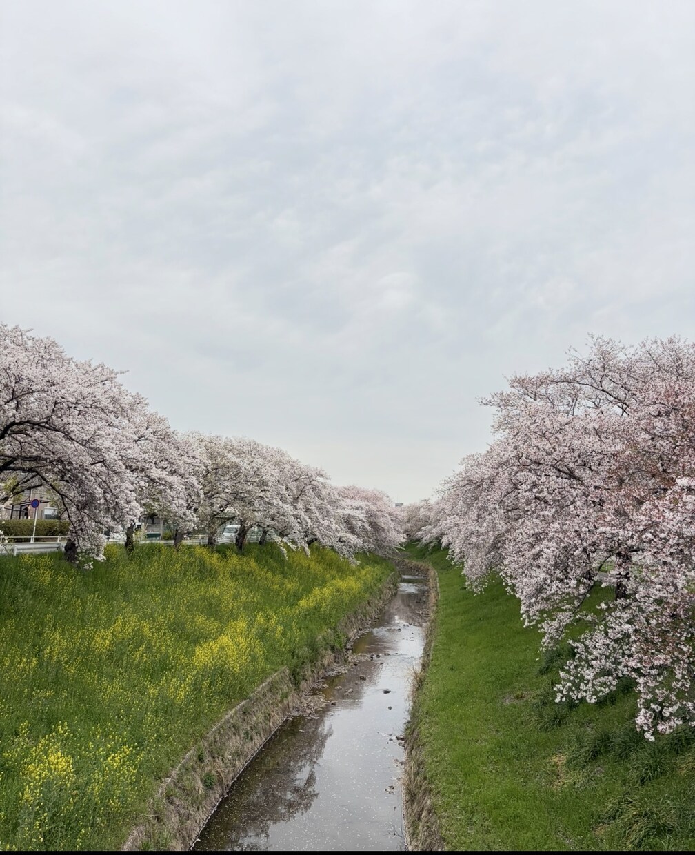 奈良旅行のプラン作成します 奈良公園と東大寺だけじゃもったいない。特別な「なら旅」の提案 イメージ4