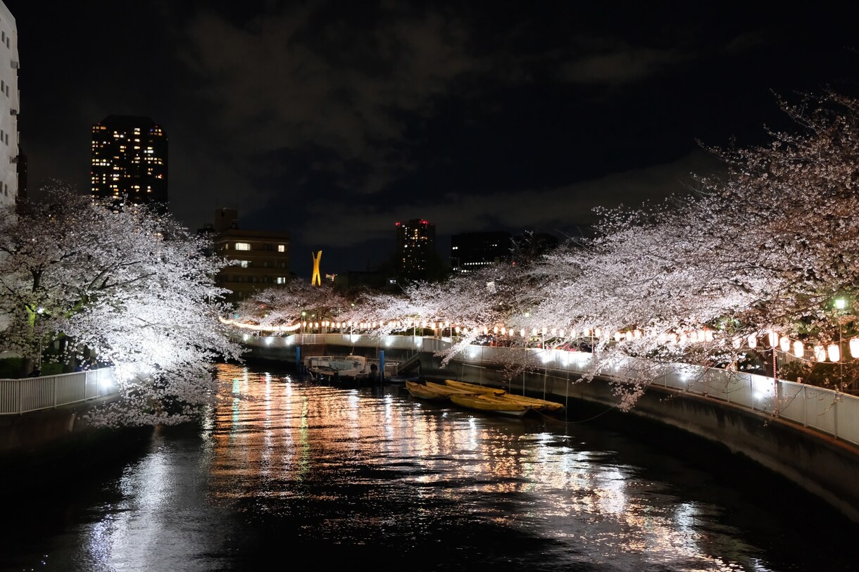 綺麗な風景の写真を提供します 加工用の元写真が欲しい方、風景の写真が好きな方へ イメージ4