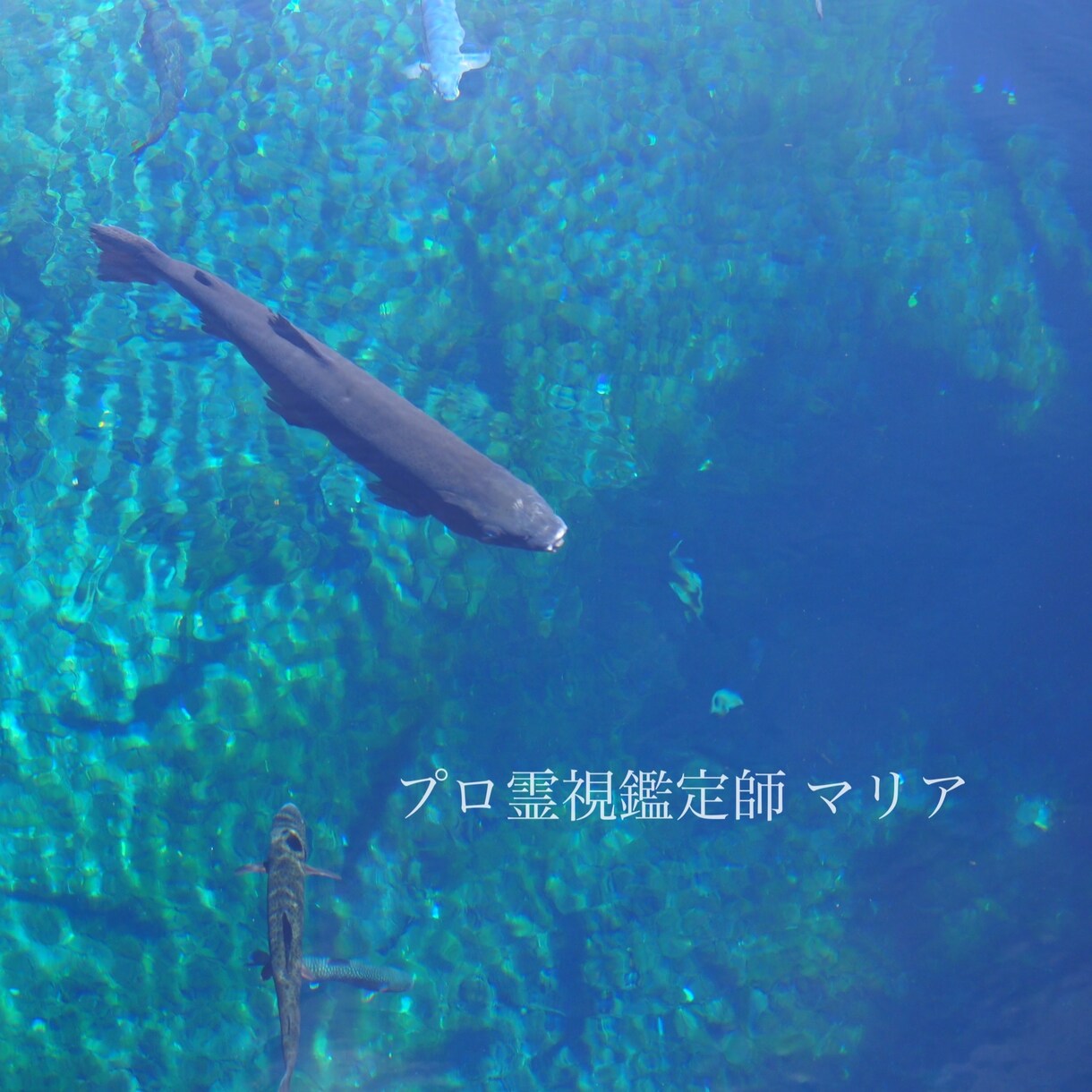 簡易ヒーリング付♡【1日限定5組】霊視鑑定します 今までにない霊視・透視をお見せします。 イメージ7