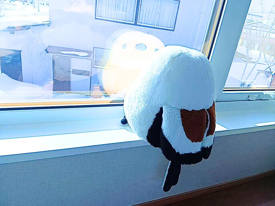 今すぐOK♥️アナタのお片付けを全力サポートします 電話しながら*一緒に*お掃除シマせんか？ イメージ6