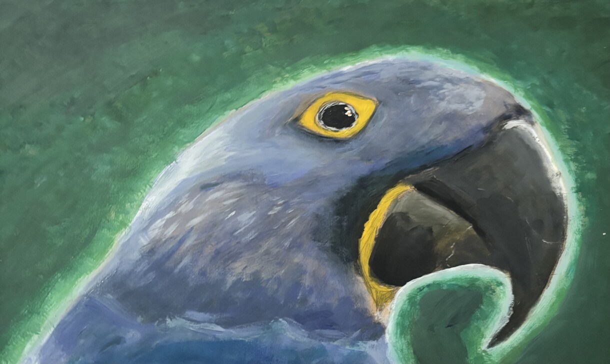 なんでもリクエストに応じて絵を描きます 僕に絵を描かせてください。後悔はさせません。 イメージ1