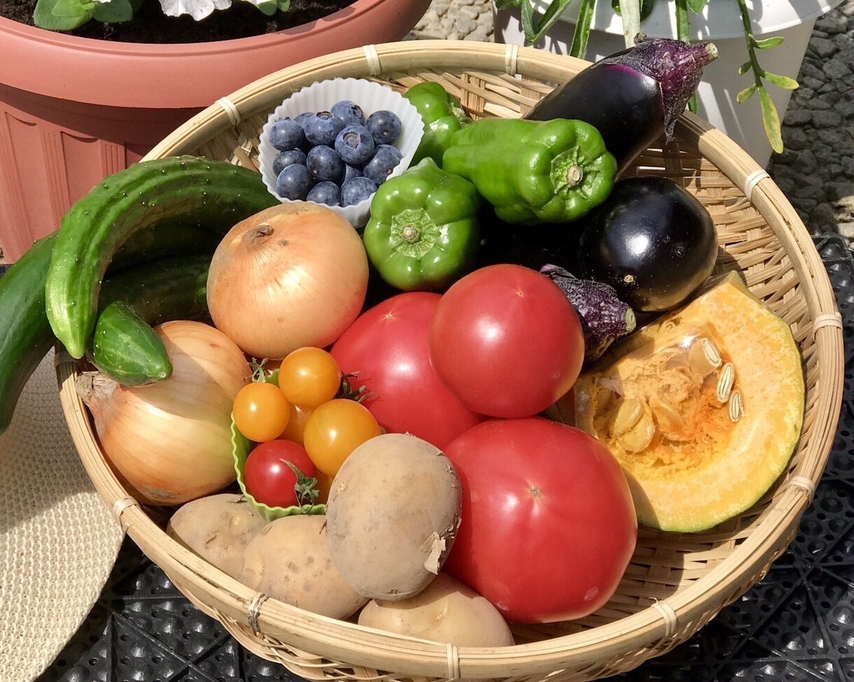 身体の症状に合ったお野菜教えます 野菜ソムリエプロが貴方の健康をちょっと手助け♪ イメージ1
