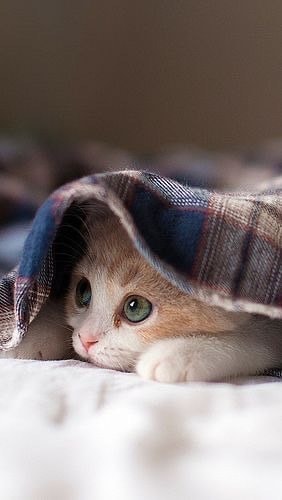 約1ヶ月！親ガチャに外れた方お話聞きます 教育虐待と言う言葉をご存知ですか？約30日！#AC#受験 イメージ6