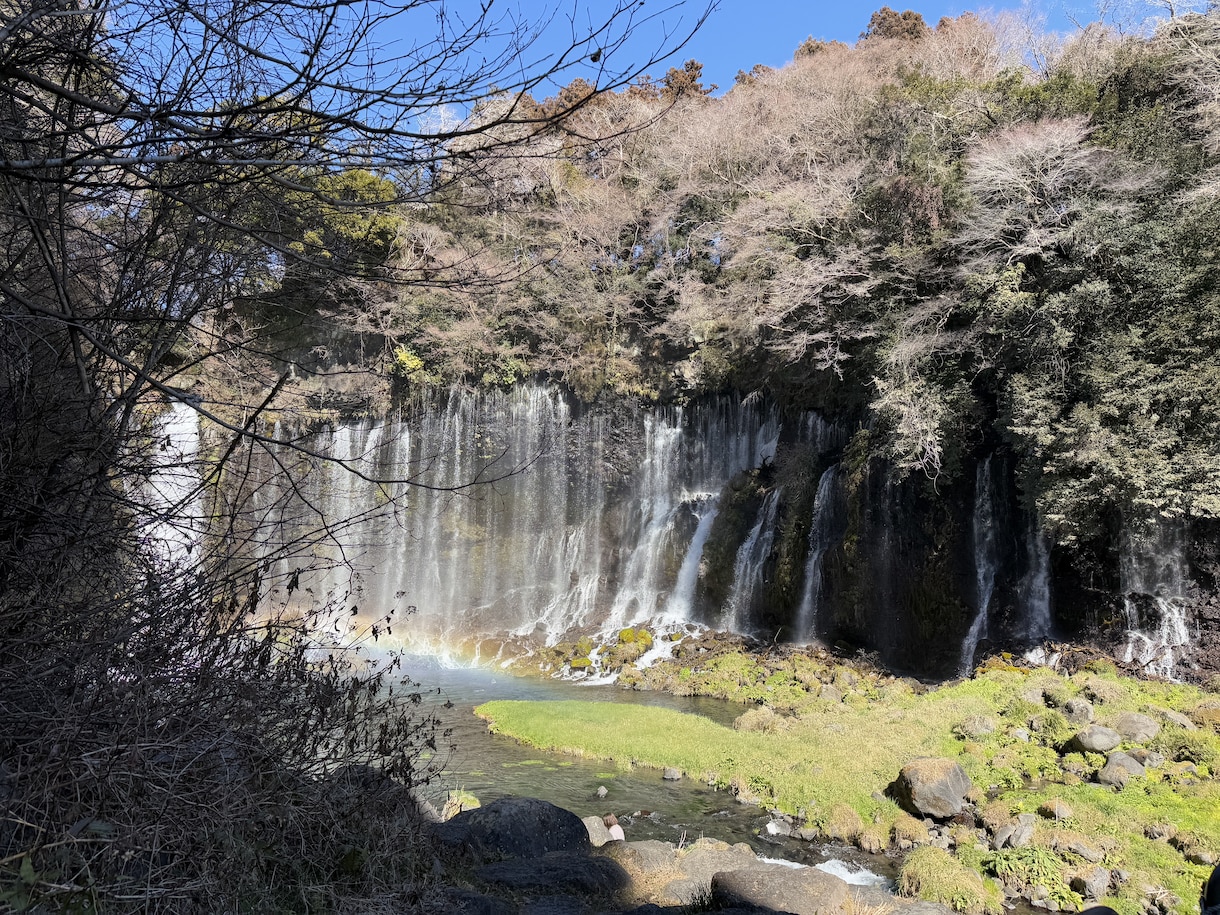 思念伝達とお返事、反応をお教えします あなたの気持ちをそのままお相手に届けます イメージ1