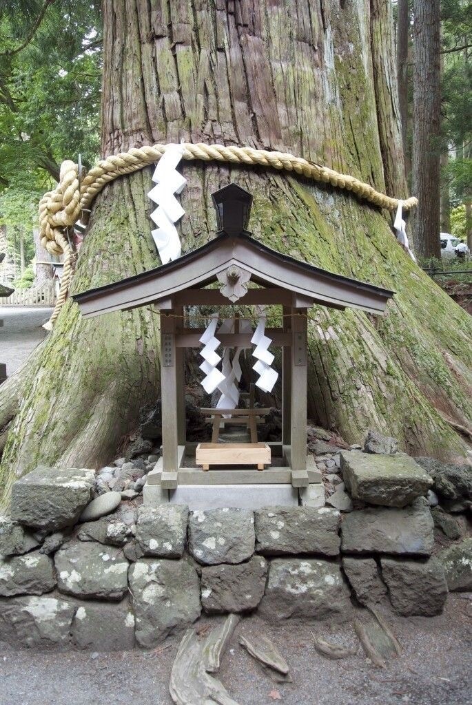 仕事鑑定◇キャリア、昇進への霊視で視ます ◆転職、職場の人間関係で悩むあなたへ◆ イメージ3