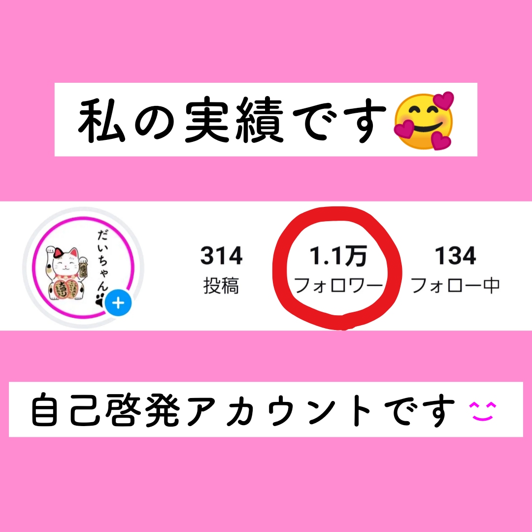 １日限定！！インスタのコンサルをします ｜１万フォロワー達成者が無制限でチャットします！！ イメージ3