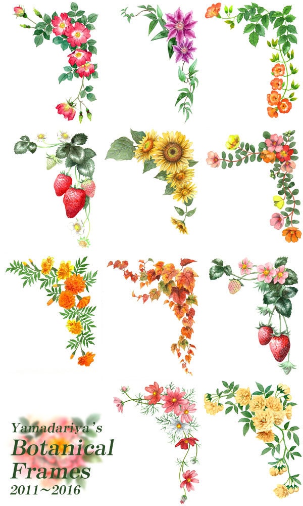 アナログ水彩でかわいくリアルな植物イラスト描きます リアルすぎず正確に、あたたかな色合いとふんわりしたタッチで イメージ8