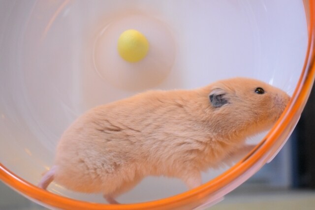 ぐるぐる思考を科学的に解決します 【どんどん膨らむ悩みを対話で解消しましょう】 イメージ3