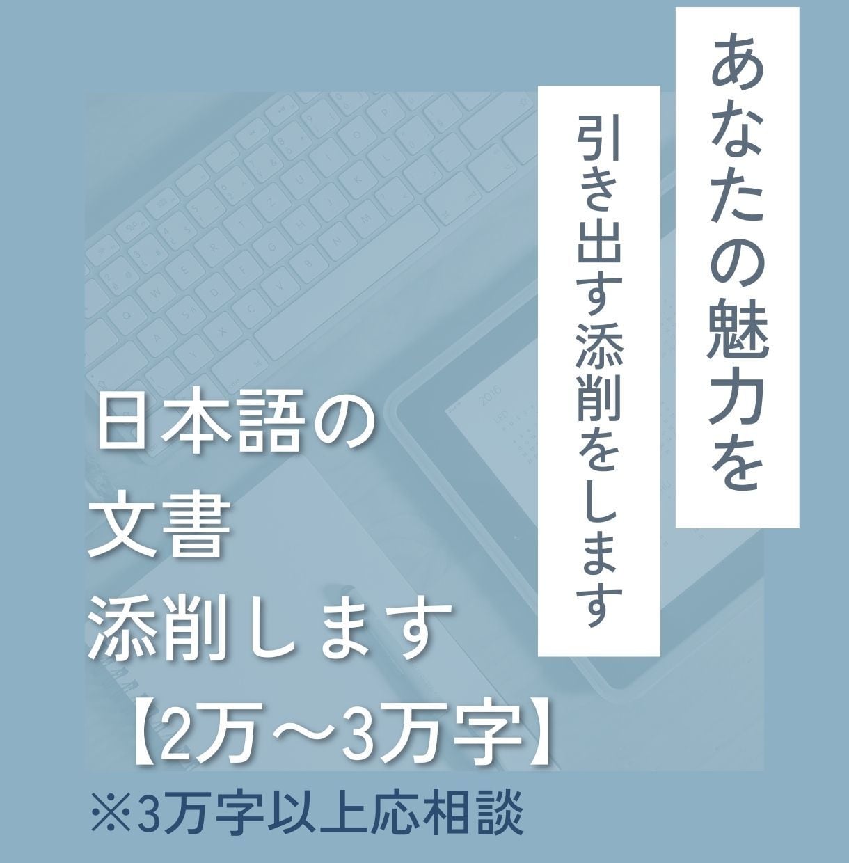 2万～3万文字の文書（論文/レポート等）添削します 東大生ライターが、あなたの癖を踏まえ、丁寧に添削いたします イメージ1