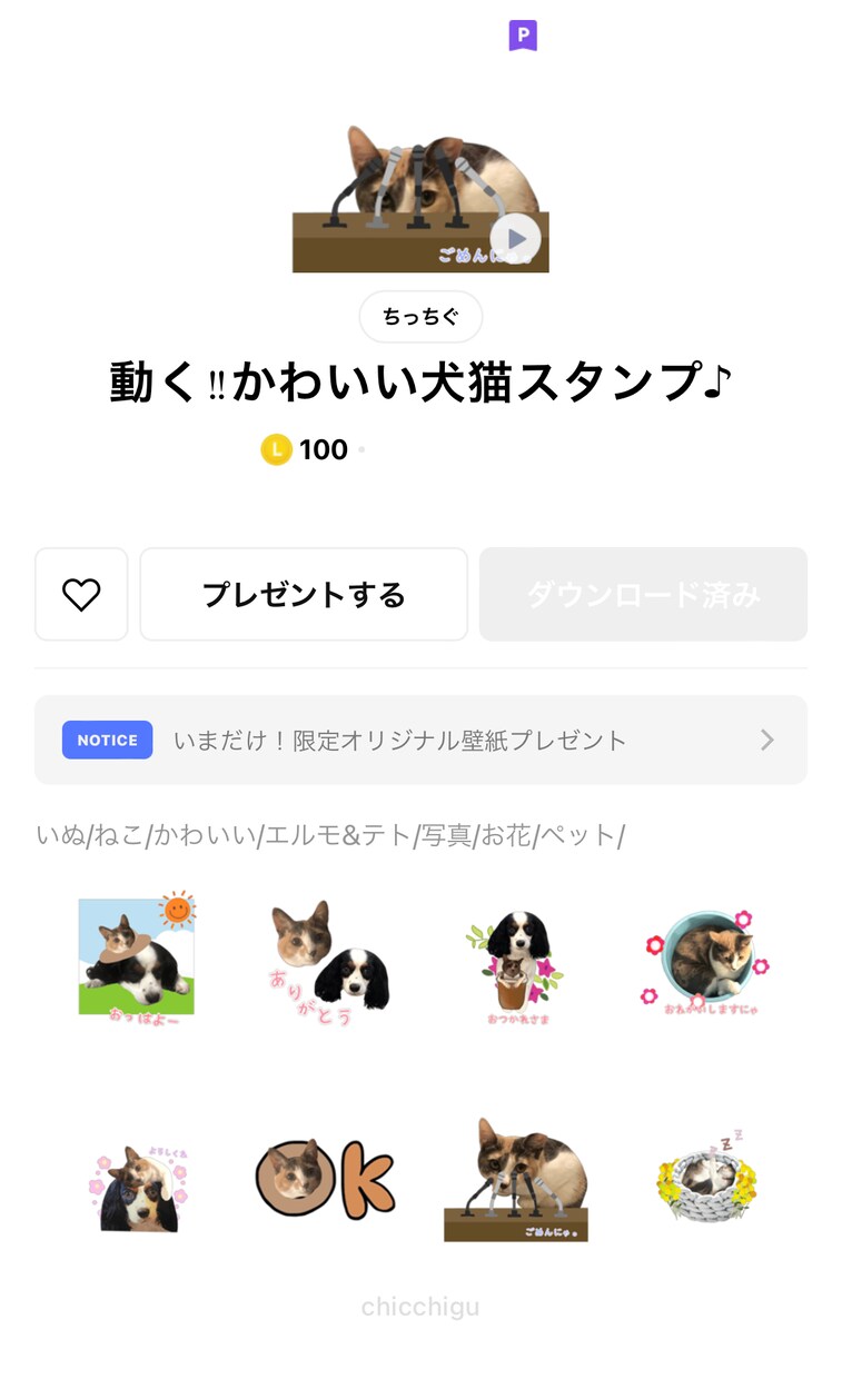 本人写真LINEスタンプ作ります あなたやご家族お子さんペットの写真スタンプ作りませんか？ イメージ4
