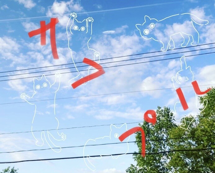 写真に動物のイラスト描きます お好きな写真を更に可愛く綺麗に！ イメージ3