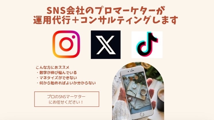 SNSのプロが何でもアドバイスします | 普段は大手企業の運用担当 | 運用代行可能 イメージ1