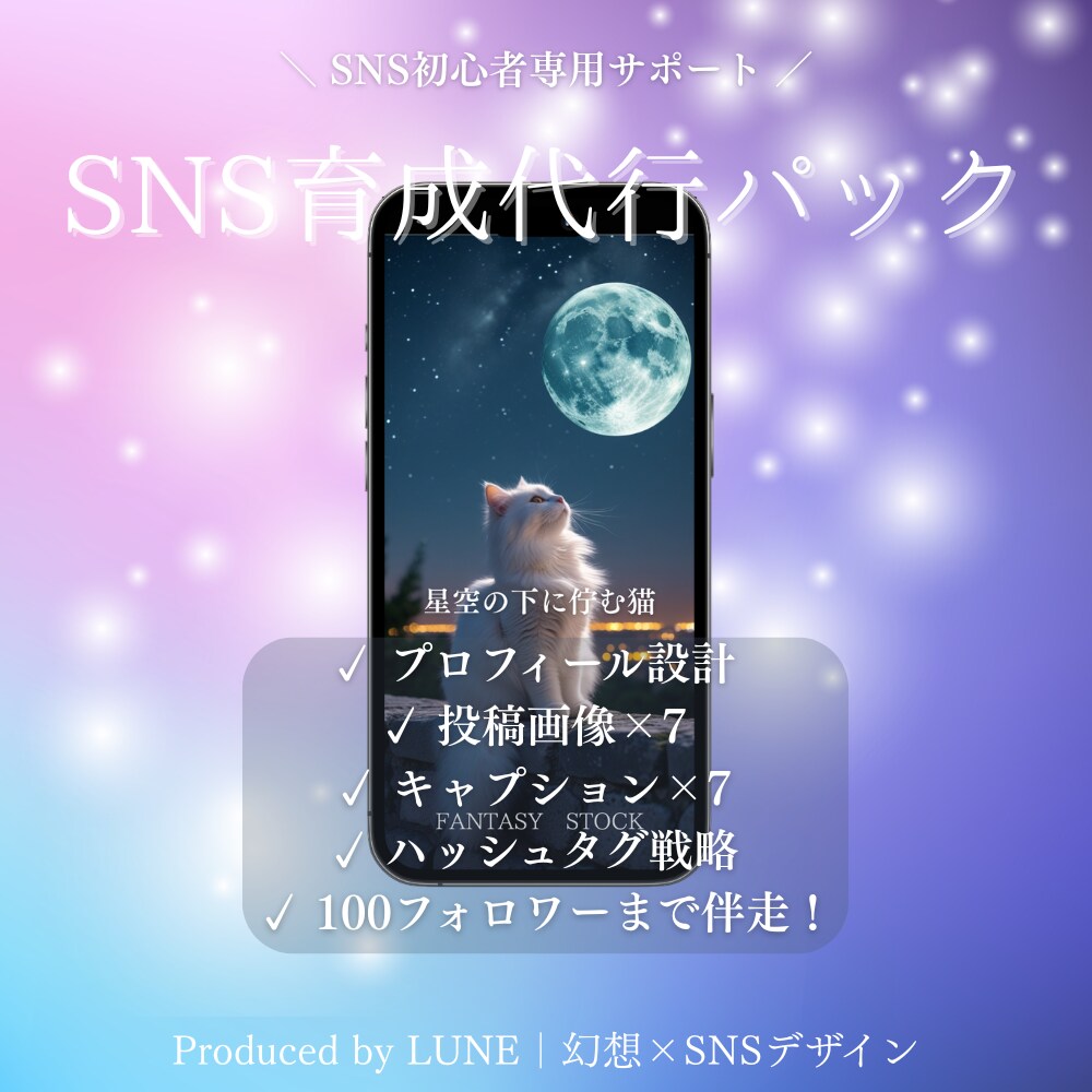 SNS育成を代行致します 初心者向け0→100フォロワー設計＋投稿作成 イメージ1