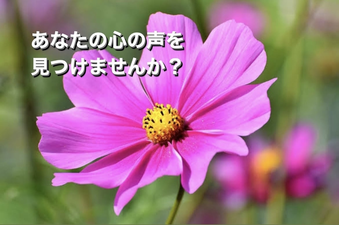 私、プラス思考で生きてます 自分自身を否定しないで。あなたの1番の味方はあなたです。 イメージ1