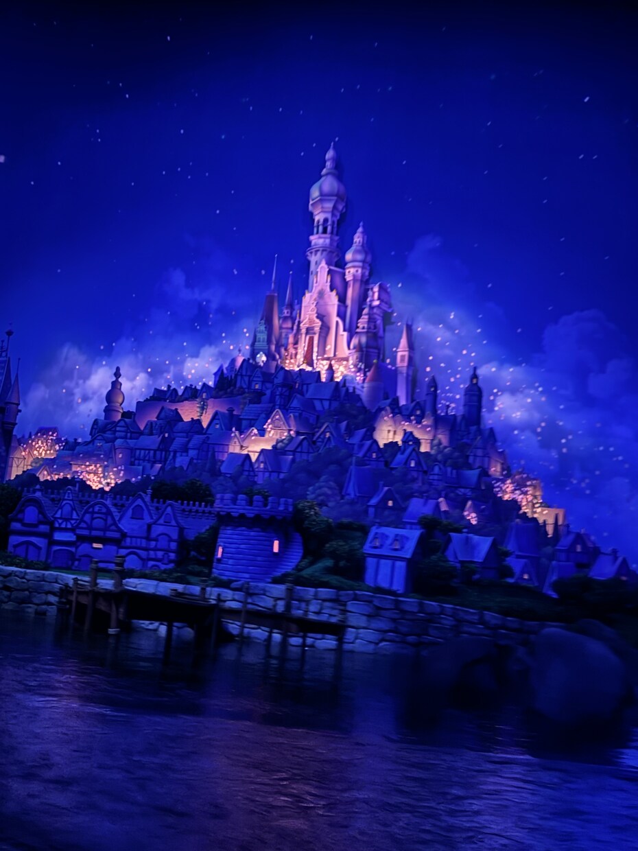 主にディズニーランド、シーの写真素材を提供致します まるで自分自身がその場に居るような一人称視点の撮影をします！ イメージ10
