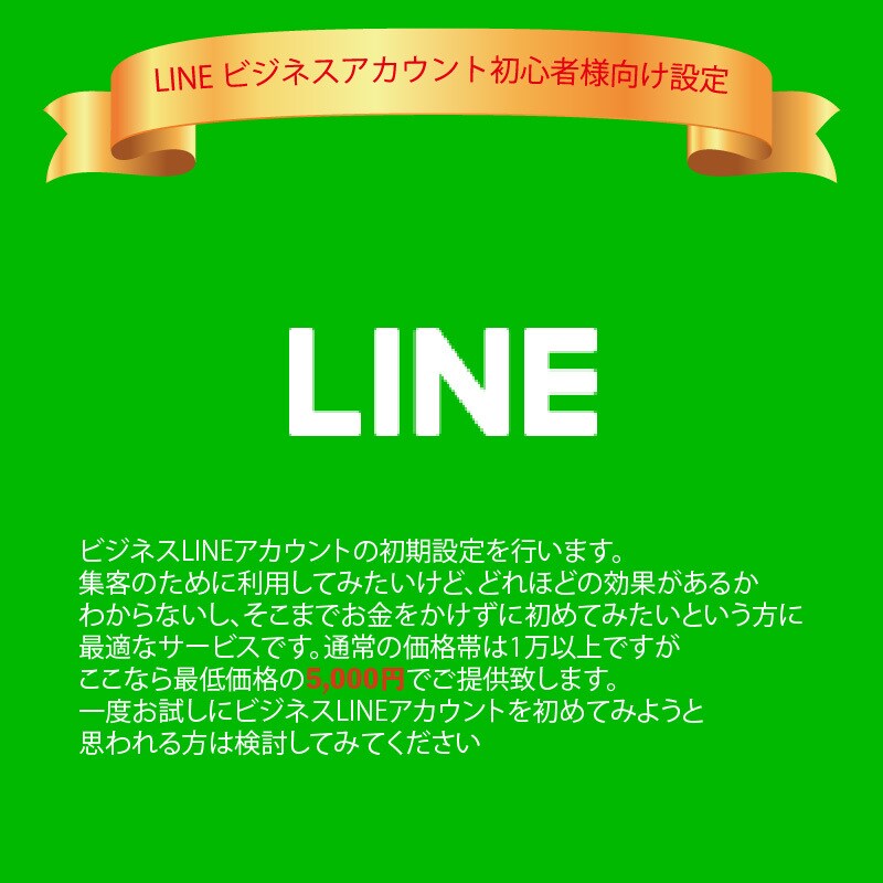LINEビジネスIDの初期設定をします 初心者におすすめ！格安でLINEビジネスIDの設定をします！ イメージ1