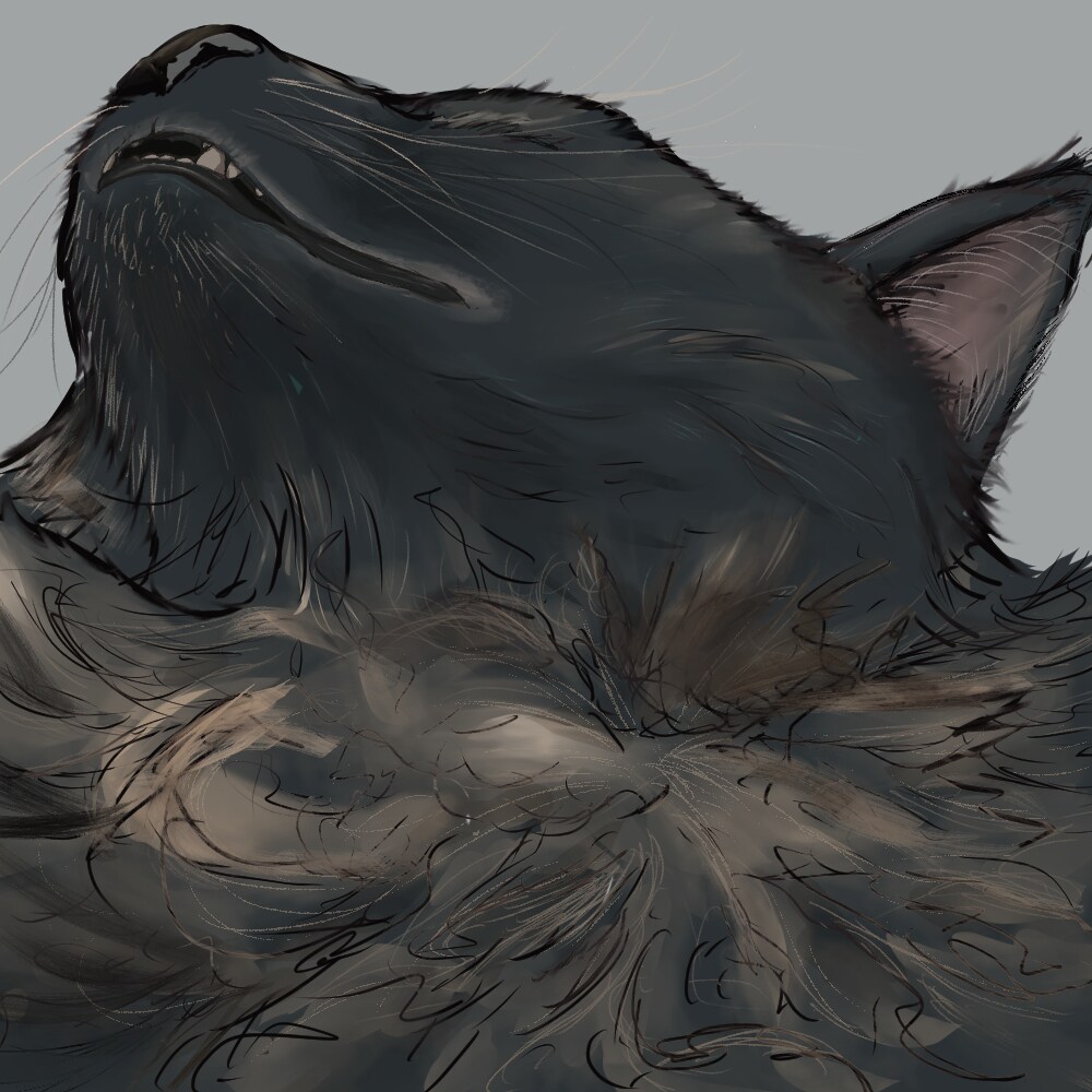 ペットや動物の絵を描きます 自分用だけでなく友人知人にもプレゼントとしてどうでしょうか！ イメージ2