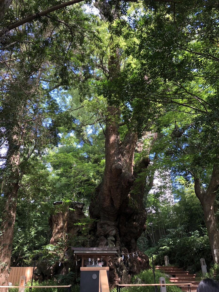 あなたの毎日の聞いて欲しいに寄り添います 3つの坂を経験した日常生活のセラピストが全力サポート！ イメージ3