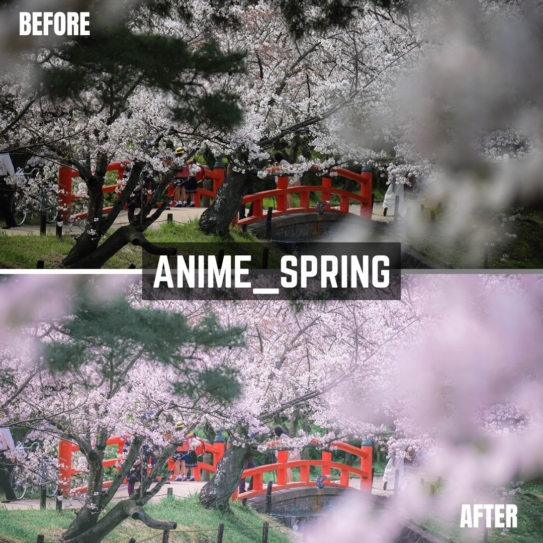 ANIME Lightroomプリセット販売します スマホで撮影した写真、ワンタッチで大変身！ イメージ3