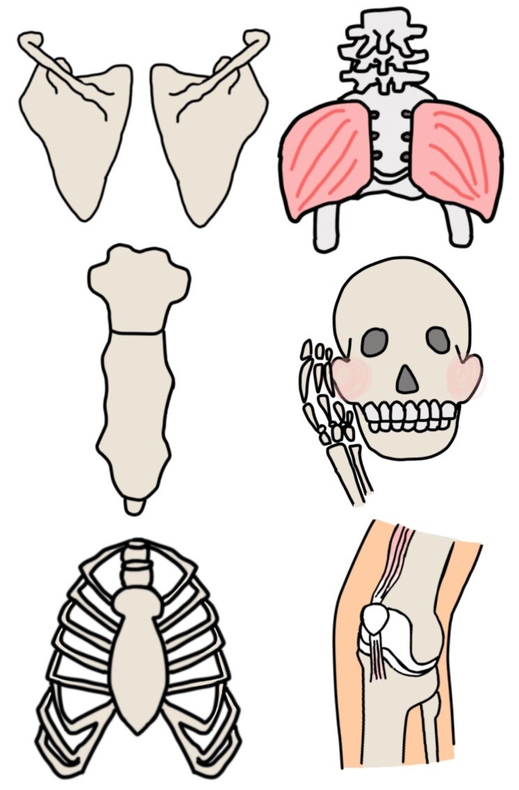 ゆるい医療イラスト作成します 商用可能！パンフレットやSNSにいかがでしょうか？ イメージ3