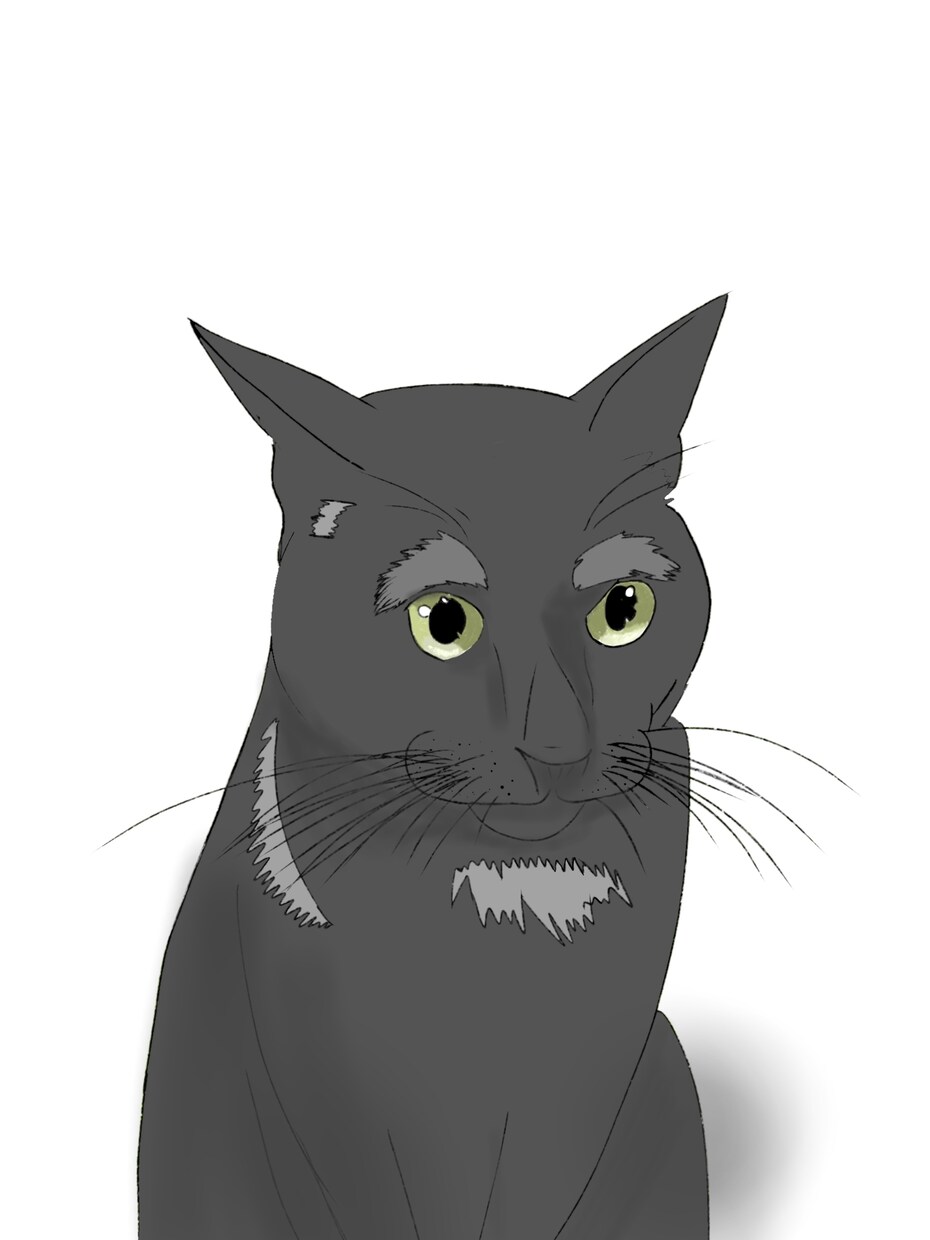 1【最速納品】時間が無い方!イラストお作りします 最速で大満足の動物のかわいいイラストをお作りいたします♪ イメージ10