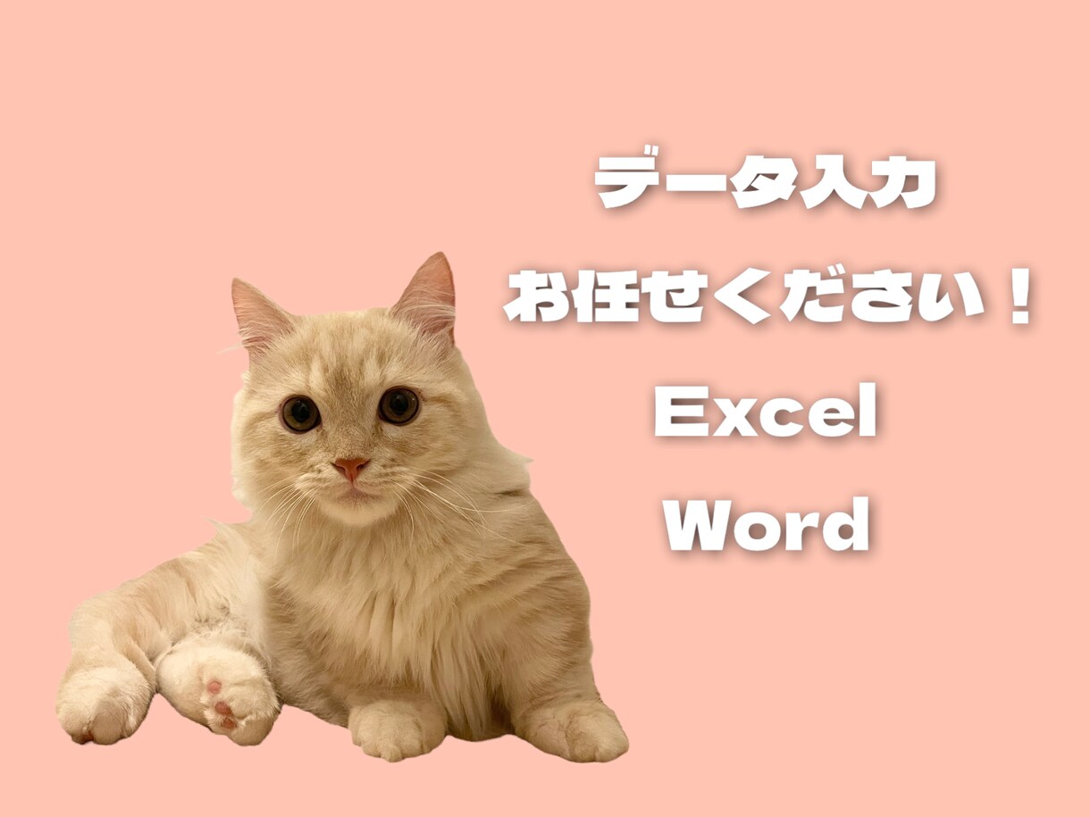 お忙しいあなたへ！代わりにデータ入力します 丁寧かつ迅速に仕上げることが得意です☆柔軟に対応します！ イメージ1