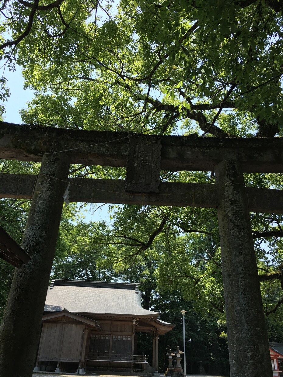 相手の気持ち家族のお悩みを守護霊と繋がり鑑定します ニックネーム名前から気持ちを読み取り解決策をお伝え致します イメージ3