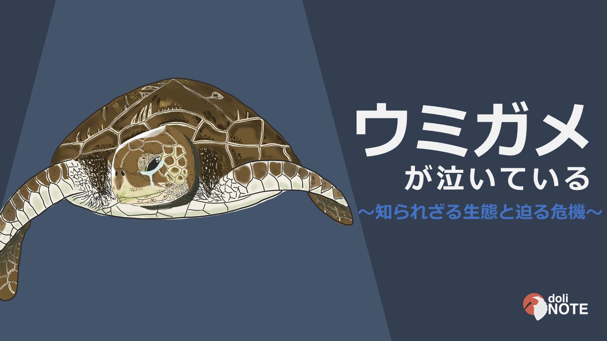 イラストも可！パワポでスライド・資料作ります パッと見て分かりやすいスライドをイラスト付きで イメージ7