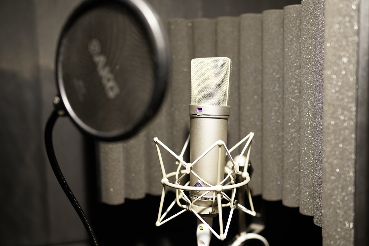 24時間納品/プロ用機材でよりいい歌に仕上げます CDのような音源に仕上げたい方向け イメージ2