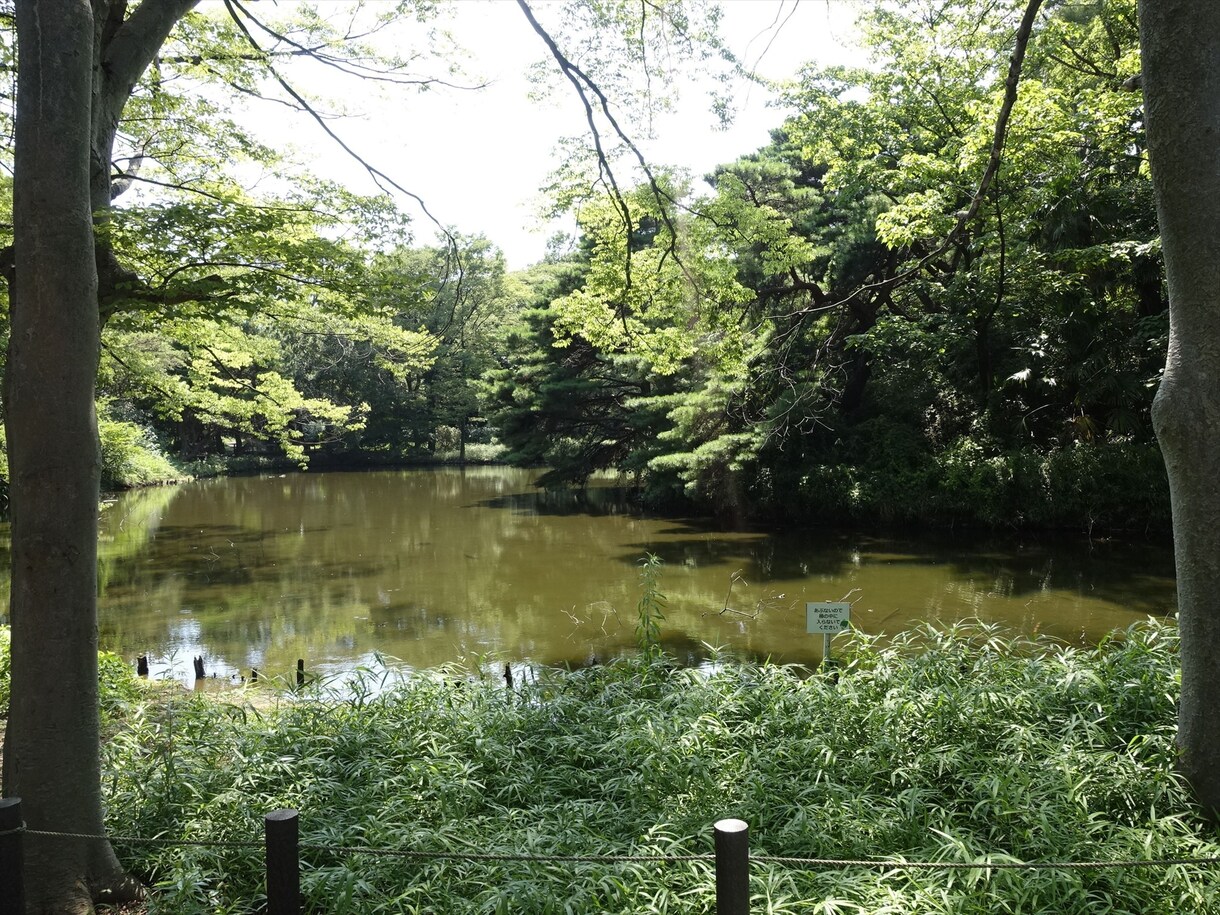 デートの場所、アドバイスします 彼氏（彼女）とデートしたいけど、どこへ行こうか迷ってる方へ イメージ1