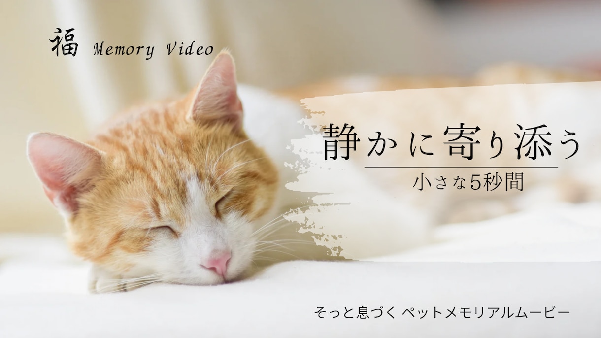 大切なペットの写真を、息づくメモリアル動画にします 静かに寄り添う、小さな5〜秒間。 イメージ1