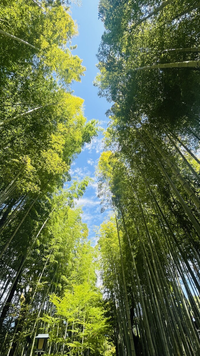 あなたの気持ちを整理するお手伝いをします 人間関係・家族・仕事の悩みを丁寧にお聞きします イメージ1