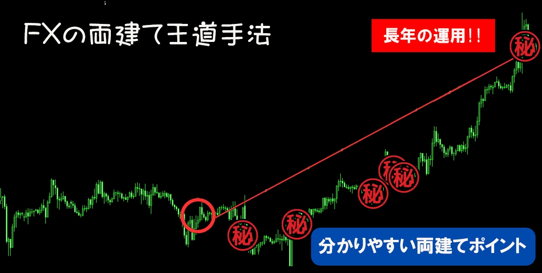 FXの両建てで手堅く驚異的！王道手法を伝授します 高度なスキルはなし。エントリー利確、両建てを明確に伝えます。 イメージ10