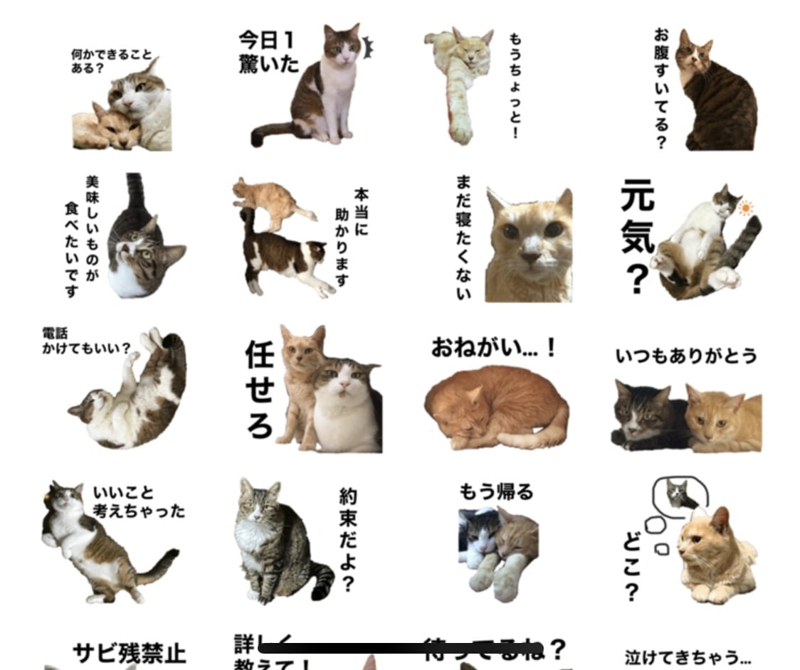 あなたの可愛いペットのLINEスタンプを作ります 画像共有頂いて、LINEスタンプを作成します！ イメージ2