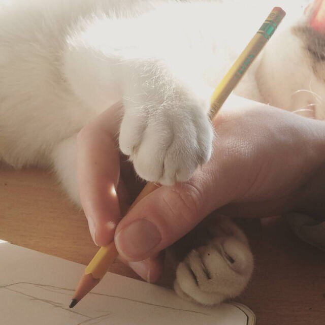 あなたの心のサロンになります 心細く寄り添いが必要な時は、いつでもお越しください イメージ2