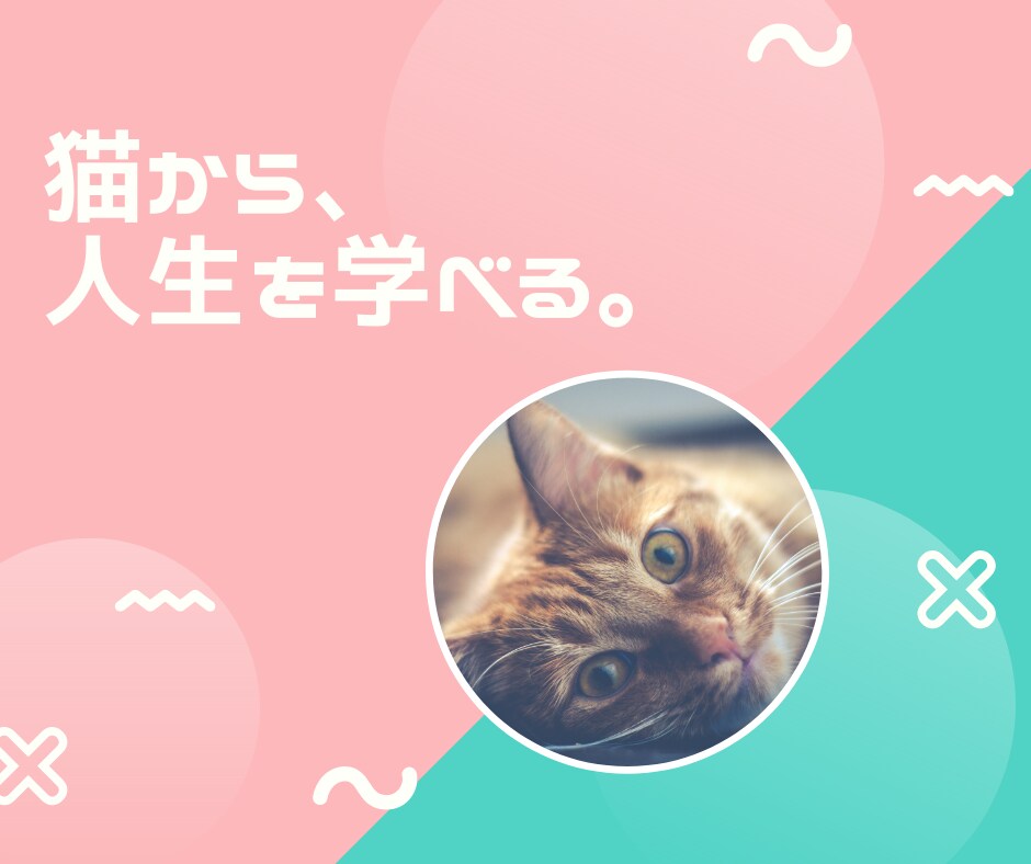 あなたといっしょに読書を楽しみます 読書が苦手な方、HSPの方も歓迎しています！ イメージ4