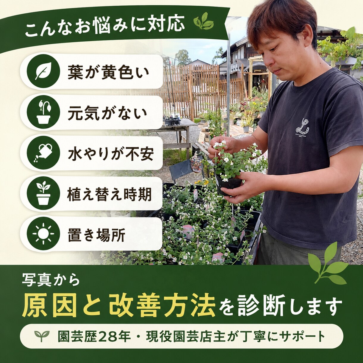 植物の写真から不調の原因と育て方を診断します 現役園芸店主が環境に合う改善方法を提案します イメージ2