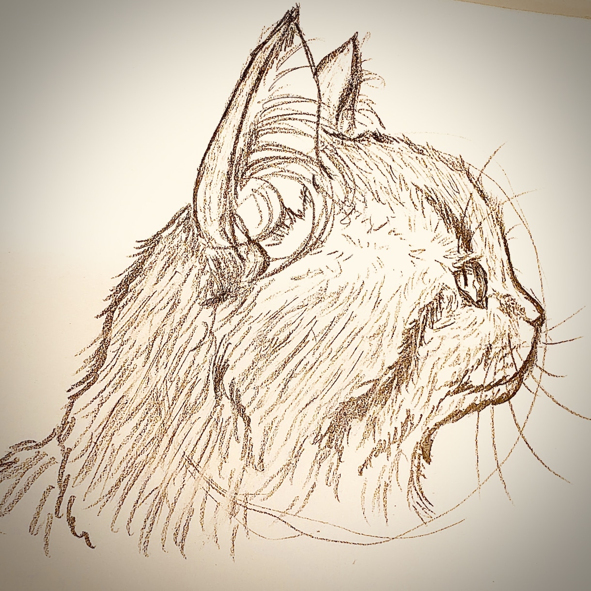 猫ちゃんのイラスト描きます 写真があればどんな猫ちゃんも描きます✏️ イメージ5
