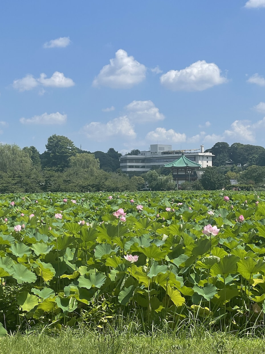 思念変換、縁結びします 相手の気持ちを変換する祈祷をします イメージ1