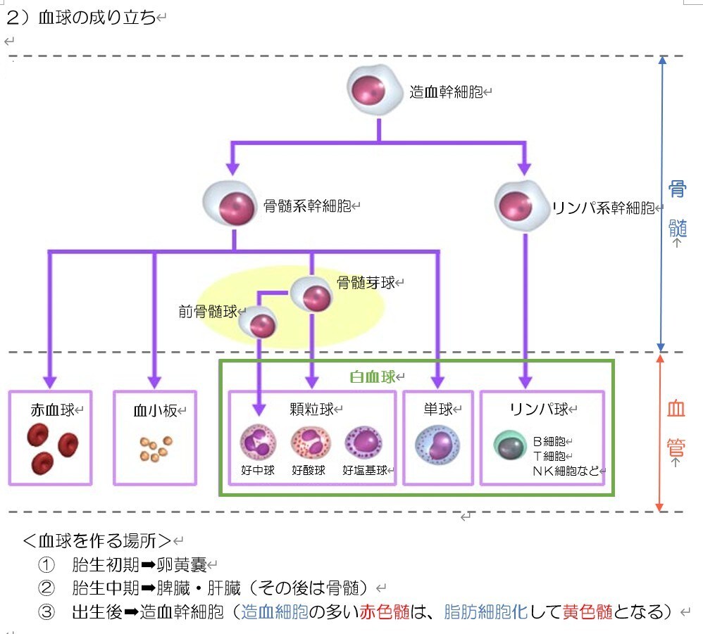 看護学生さん必見！完全個別サポートを行います 国家試験対策・実習対策、なんでもご相談ください⭐️ イメージ3