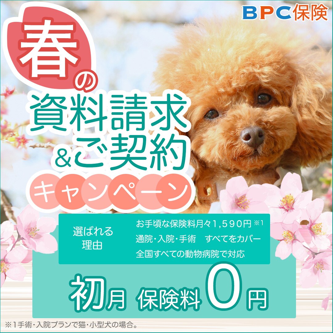 パッと目を惹く！WEB画像お作りします 1,500円バナー/ヘッダー/サムネイル イメージ5